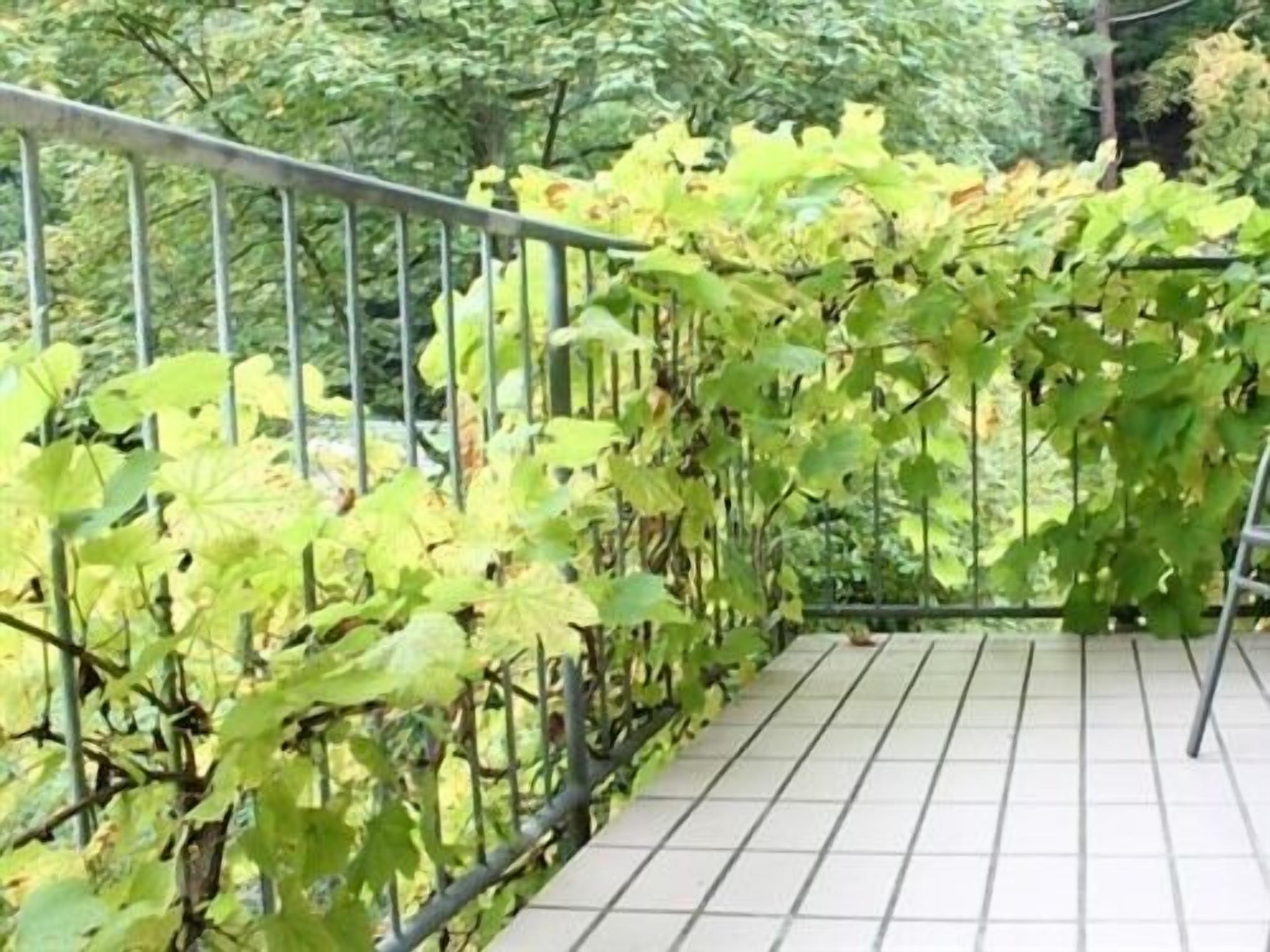Hotel Winneburg Cochem Exterior foto