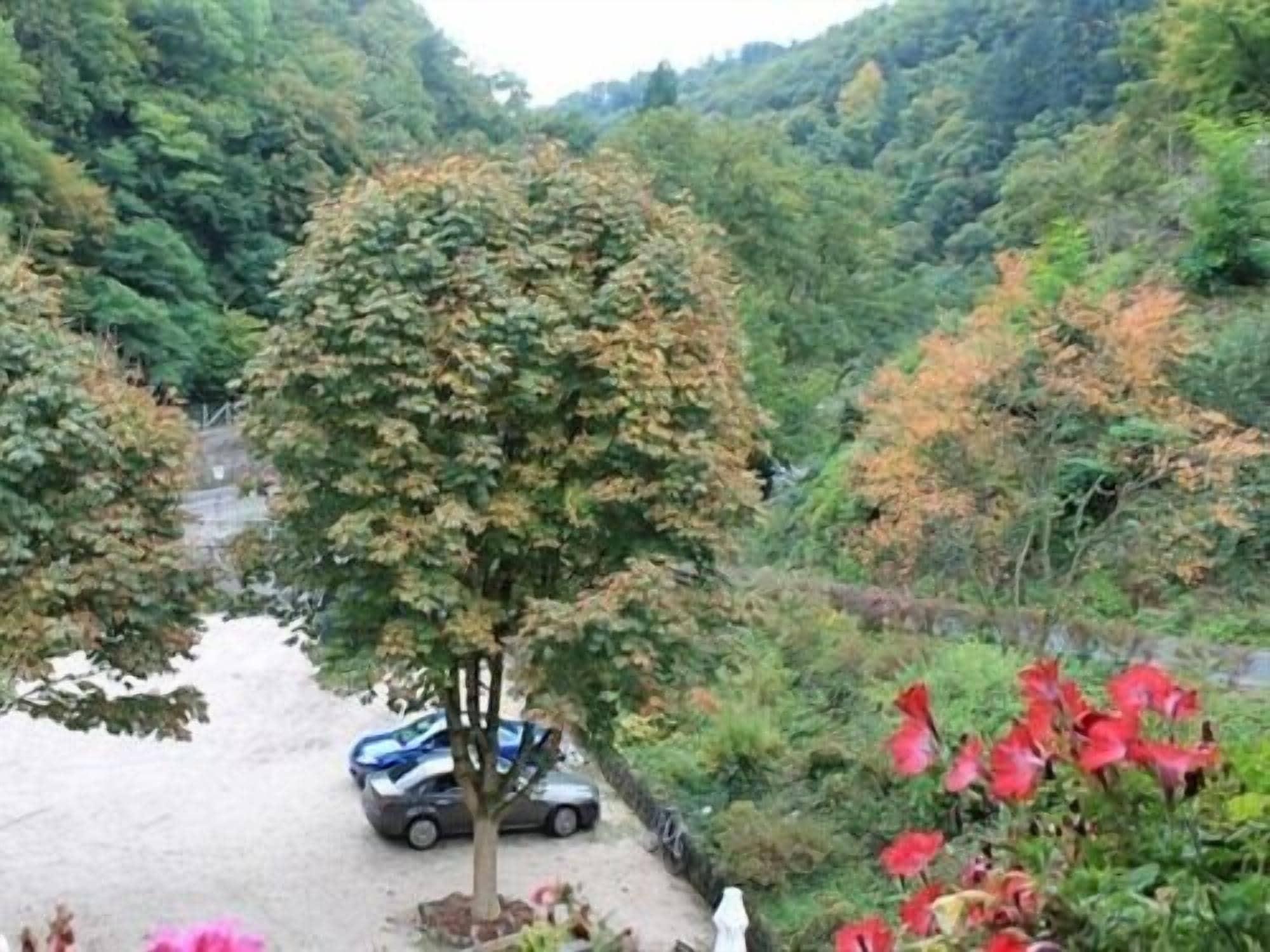 Hotel Winneburg Cochem Exterior foto
